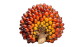 Palma
