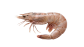 Camarón